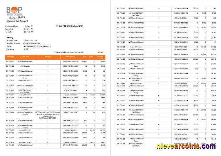 India The Bank of Punjab (BOP) account statement, 3 pages
